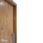 PROMO! Puerta Nexo Modelo DA001 De 100×220
